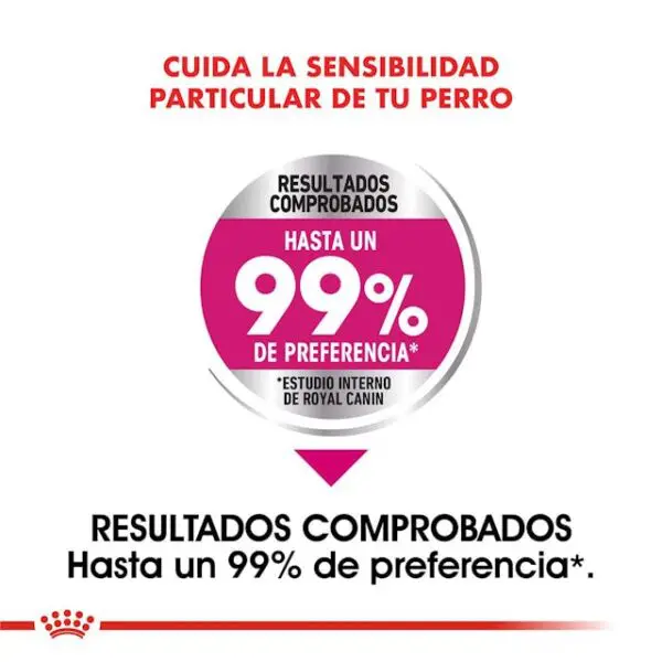 Royal Canin CCN Mini Exigent