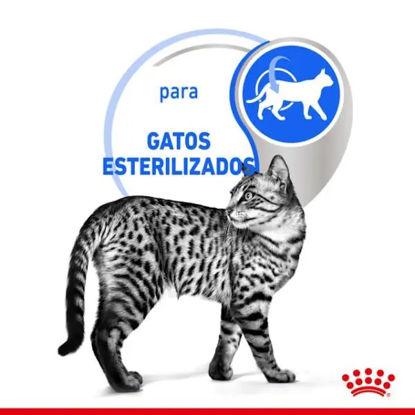 Royal Canin FHN Indoor Sterilized Morsels in Gravy