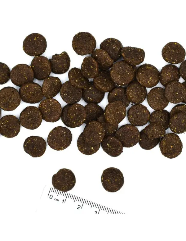 Monge Canine Adult Cordero, Arroz y Papa
