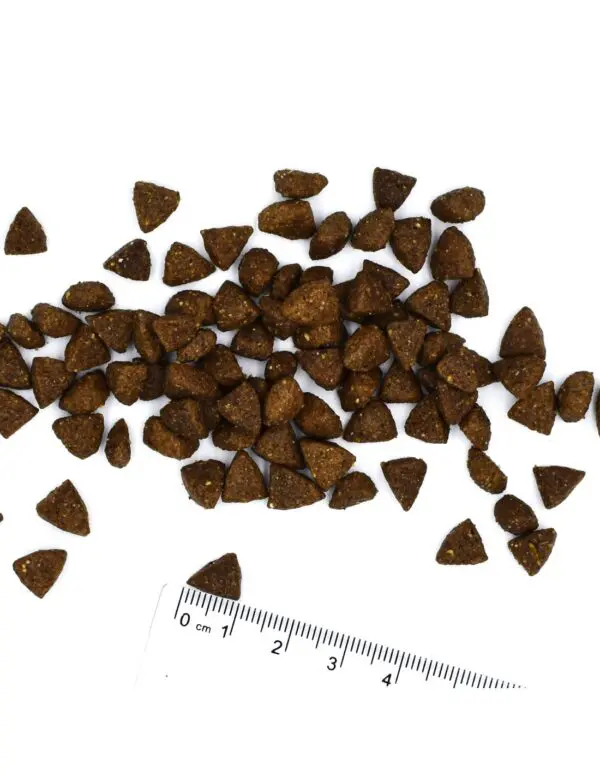 Monge Canine Mini Adult Cordero, Arroz y Papas