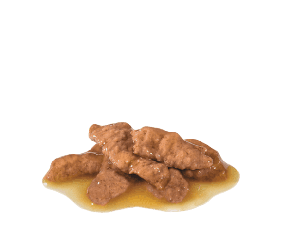 Royal Canin FHN Indoor Sterilized Morsels in Gravy