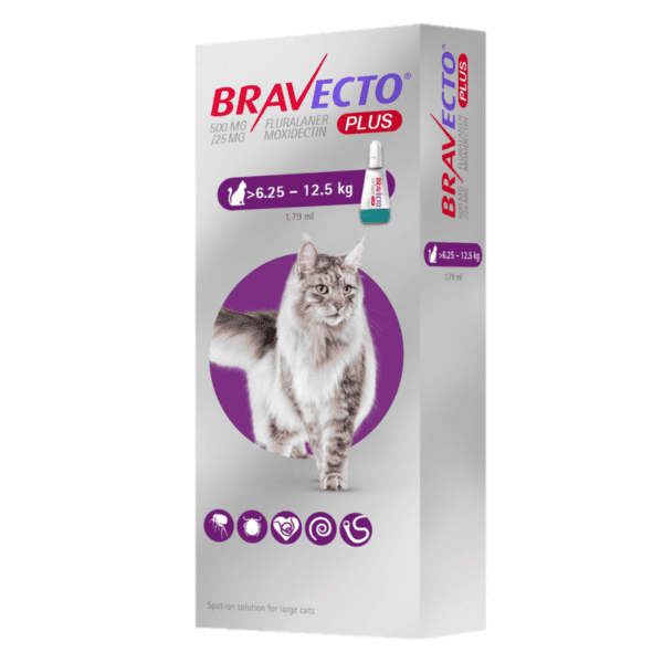 Bravecto Plus 500mg Spot On Cats (6.25-12.5kg)