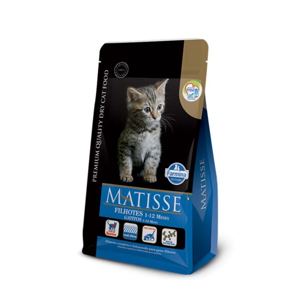 Matisse Gatitos