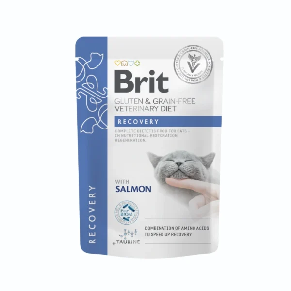 Brit Veterinary Diet Cat Grain-Free Recovery Pouch Fillets in Gravy